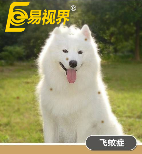 不一樣的眼病，不一樣的世界