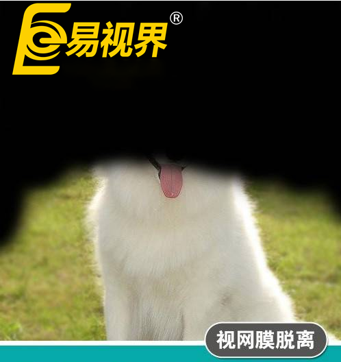 不一樣的眼病，不一
                </div>
                <div   id=