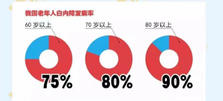 全球致盲的主要原因有哪些？